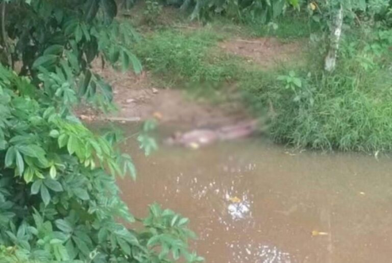 Actu, Info et News en continu de Pakao et du Sénégal