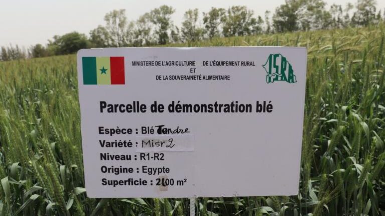 Actu, Info et News en continu de Pakao et du Sénégal