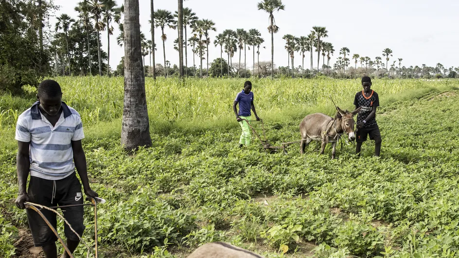 KERANOS MEDIA Site Web d'Actualités du Pakao, de la Casamance et du