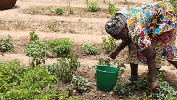 Actu, Info et News en continu de Pakao et du Sénégal