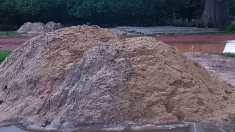 Actu, Info et News en continu de Pakao et du Sénégal