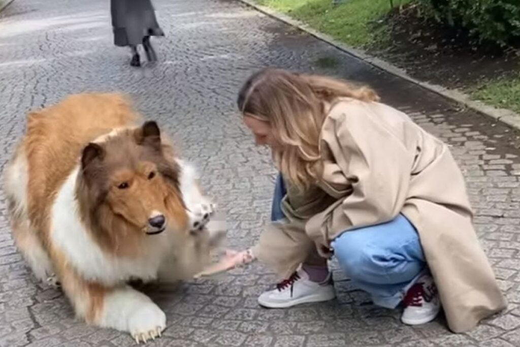 Actu, Info et News en continu de Pakao et du Sénégal