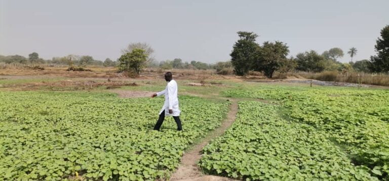 Actu, Info et News en continu de Pakao et du Sénégal