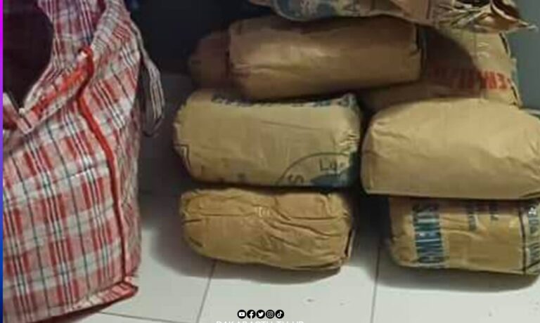 Actu, Info et News en continu de Pakao et du Sénégal