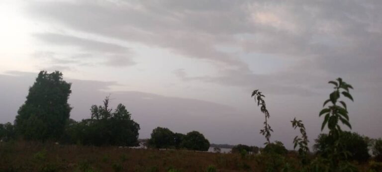 Actu, Info et News en continu de Pakao et du Sénégal