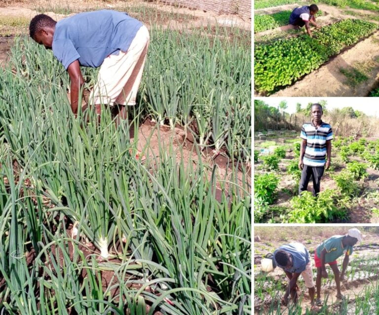 Actu, Info et News en continu de Pakao et du Sénégal