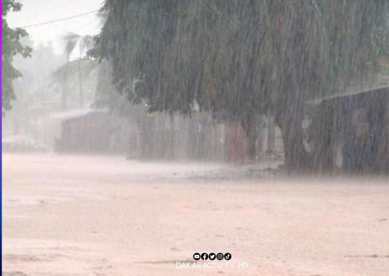 Actu, Info et News en continu de Pakao et du Sénégal