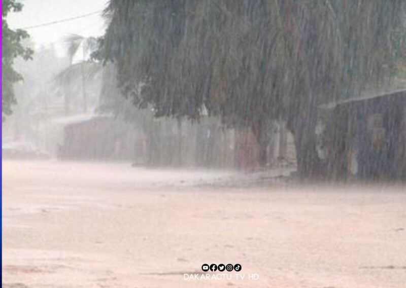 Actu, Info et News en continu de Pakao et du Sénégal