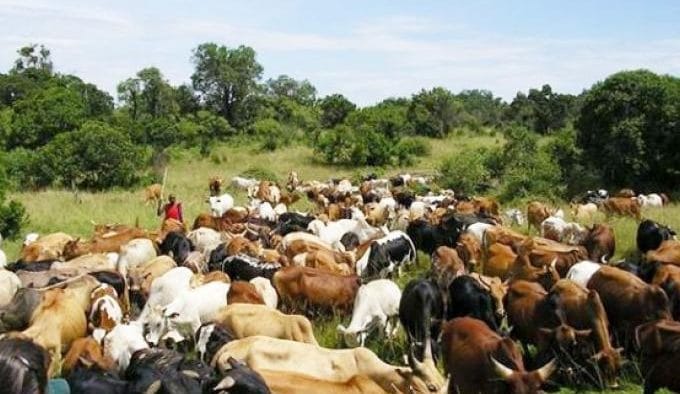 Actu, Info et News en continu de Pakao et du Sénégal