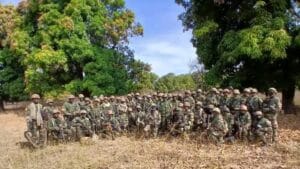 Kolda : destruction de plusieurs hectares de champs de chanvre indien par l'armée 2 KERANOS MEDIA