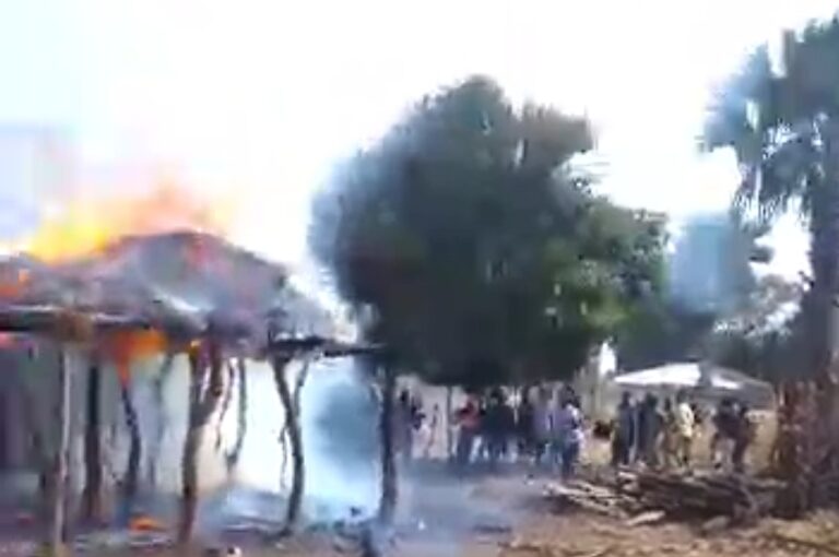 Actu, Info et News en continu de Pakao et du Sénégal