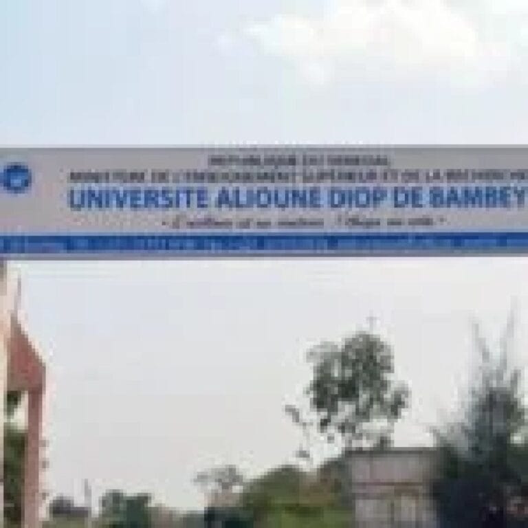 Actu, Info et News en continu de Pakao et du Sénégal