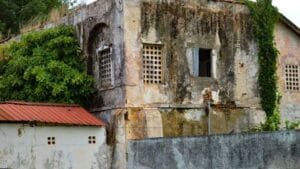 Actu, Info et News en continu de Pakao et du Sénégal