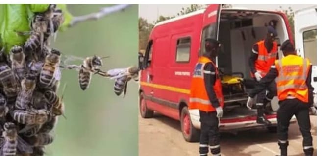 Actu, Info et News en continu de Pakao et du Sénégal