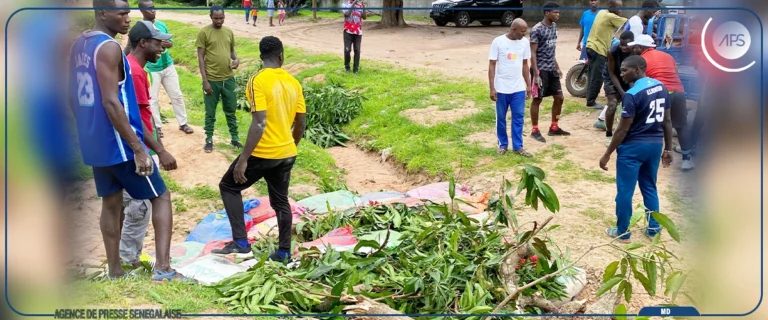 Actu, Info et News en continu de Pakao et du Sénégal