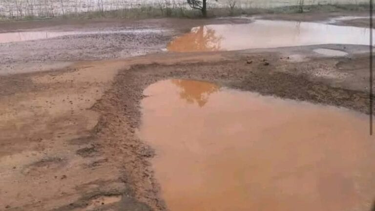 Actu, Info et News en continu de Pakao et du Sénégal