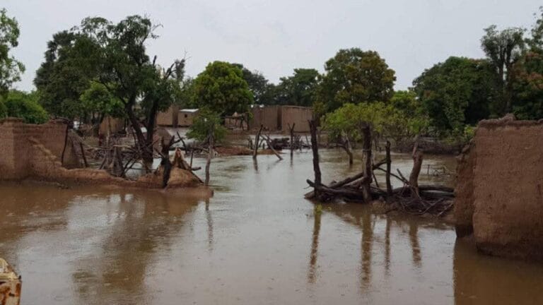 Actu, Info et News en continu de Pakao et du Sénégal