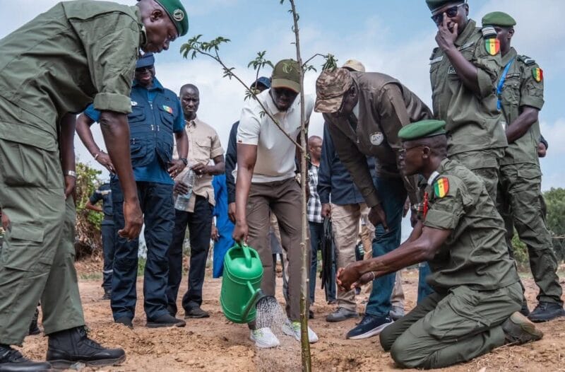 Actu, Info et News en continu de Pakao et du Sénégal