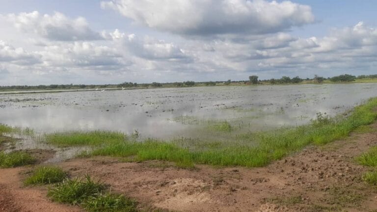 Actu, Info et News en continu de Pakao et du Sénégal