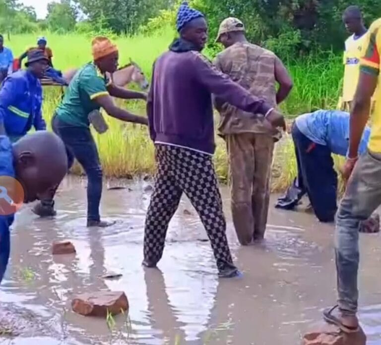 Actu, Info et News en continu de Pakao et du Sénégal