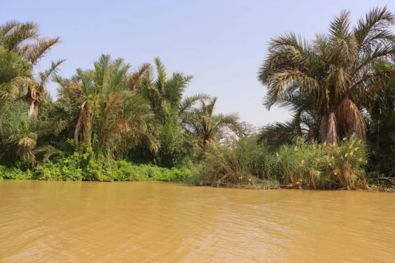 Actu, Info et News en continu de Pakao et du Sénégal