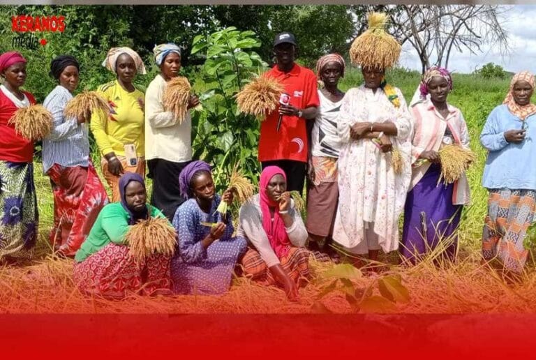 Actu, Info et News en continu de Pakao et du Sénégal