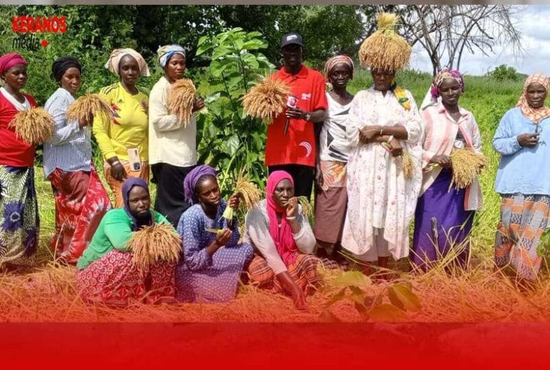 Actu, Info et News en continu de Pakao et du Sénégal