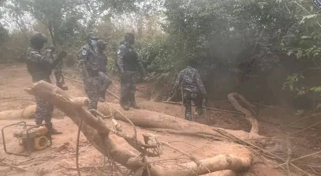 Actu, Info et News en continu de Pakao et du Sénégal