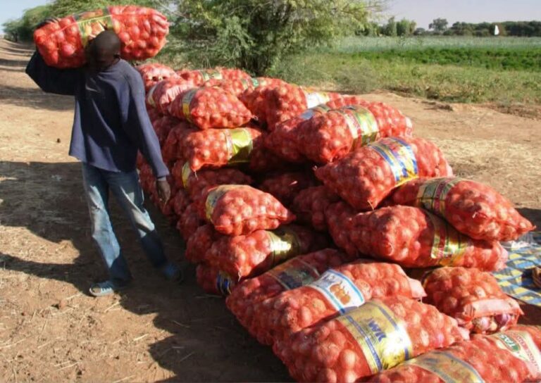 Actu, Info et News en continu de Pakao et du Sénégal