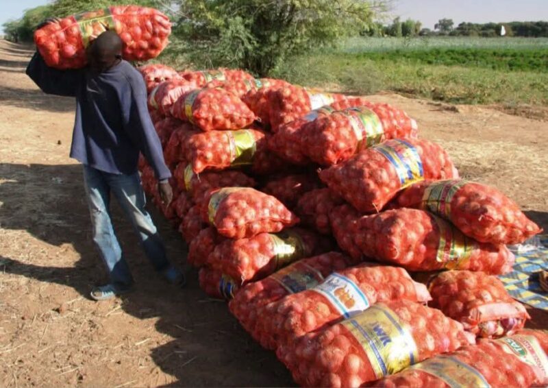 Actu, Info et News en continu de Pakao et du Sénégal