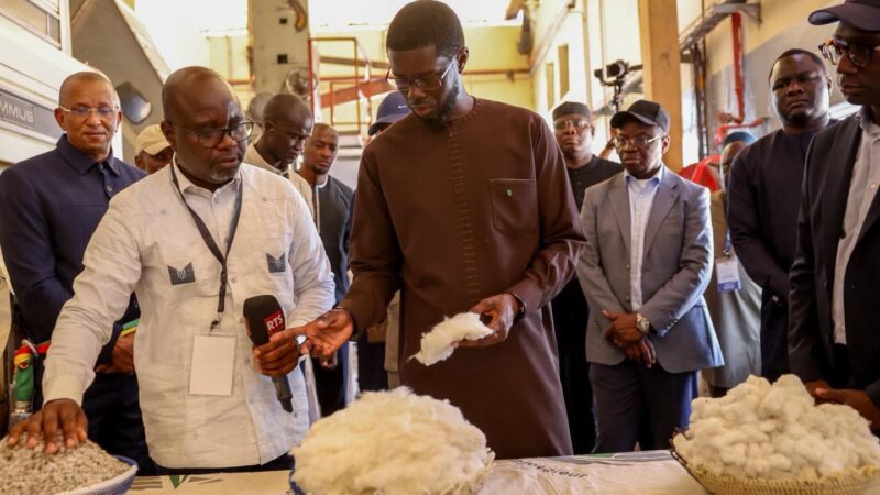 Actu, Info et News en continu de Pakao et du Sénégal