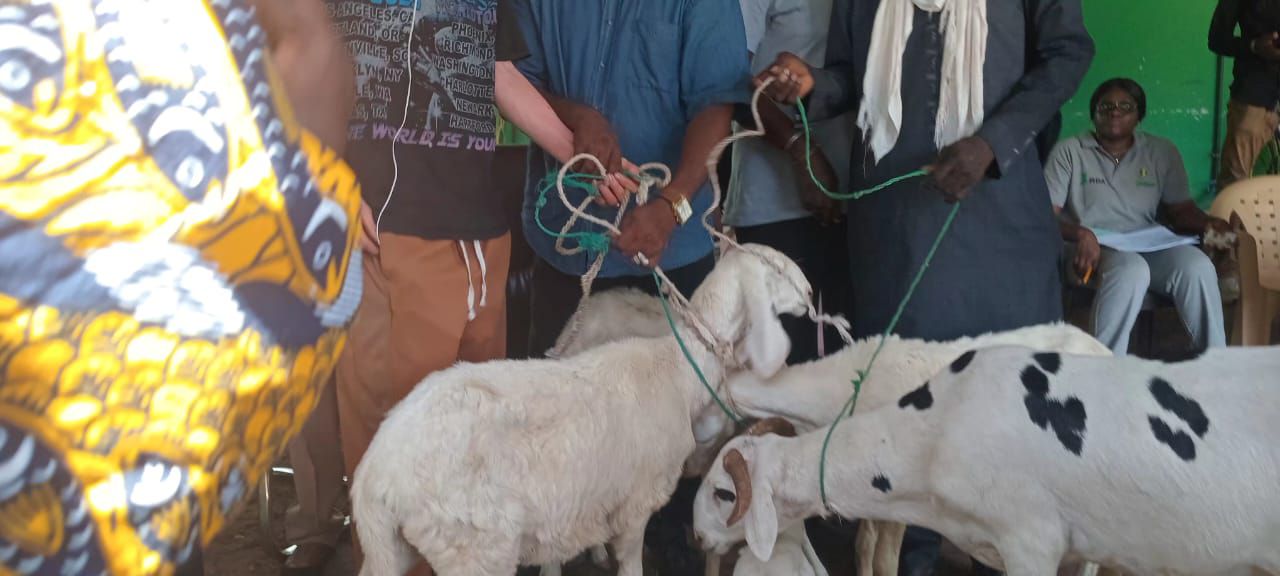 Actu, Info et News en continu de Pakao et du Sénégal